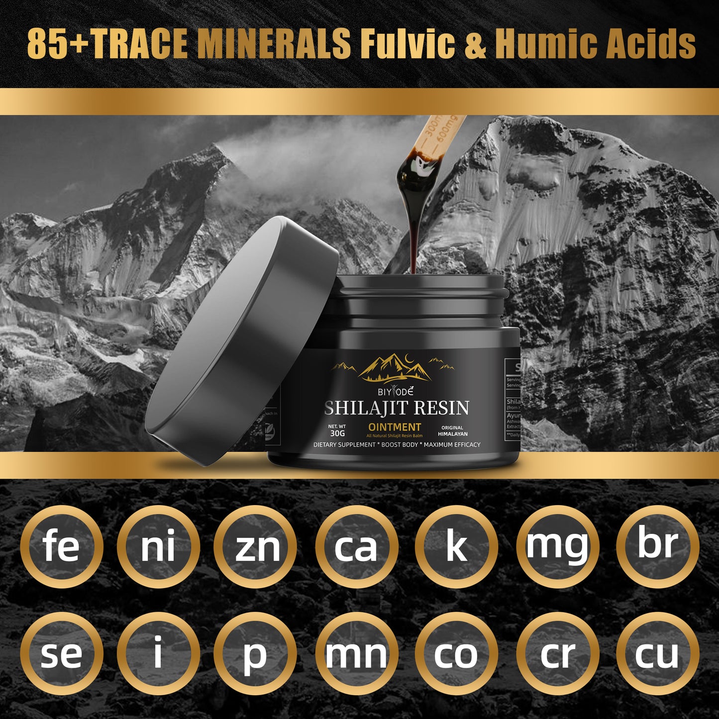 Himalayan Shilajit Resin