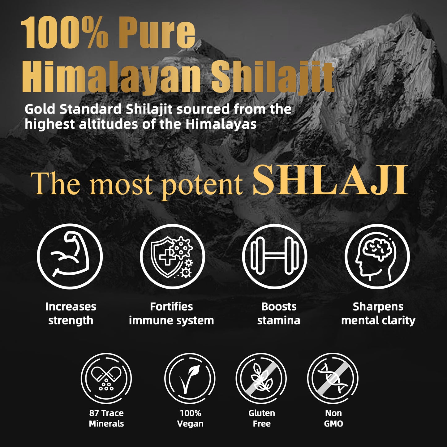 Himalayan Shilajit Resin